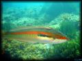 2007-06-23_pm