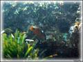DSC09548