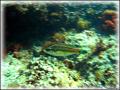 DSC09557