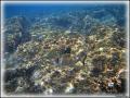 DSC09881
