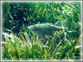 DSC09915