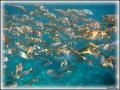 DSC00050