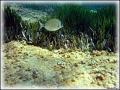 DSC00061
