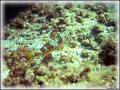DSC00097