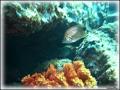 DSC00130