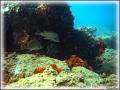 DSC00178