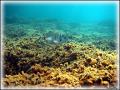 DSC00186