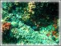 DSC00251