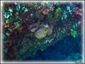 DSC00254