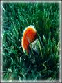 DSC00396