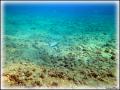 DSC00406