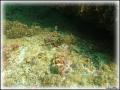 DSC00411