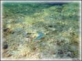 DSC00500